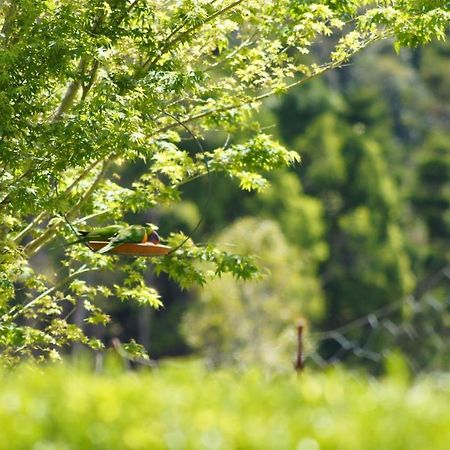 La Dolce Vita Beechmont Kültér fotó